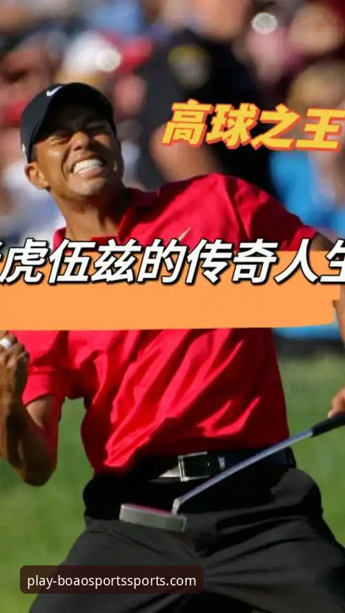 老虎伍兹药物影响下驾驶事件详解：从赛场传奇到法律风波